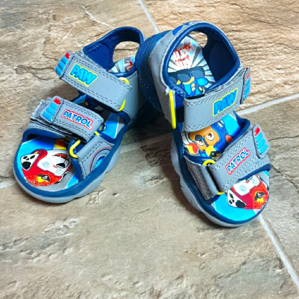 Paw patrol